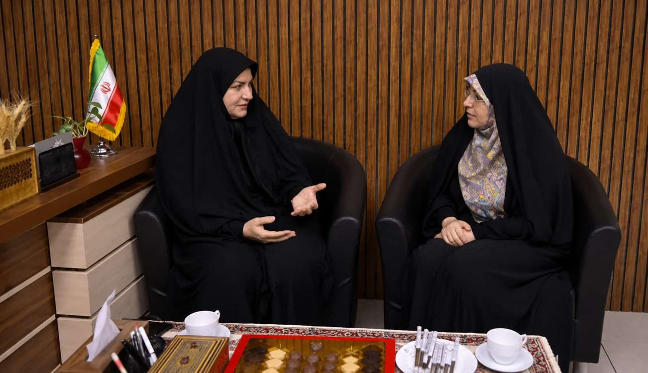 دیدار مشاورین 